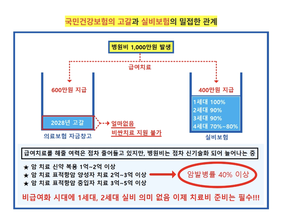 실비가 무의미.jpg