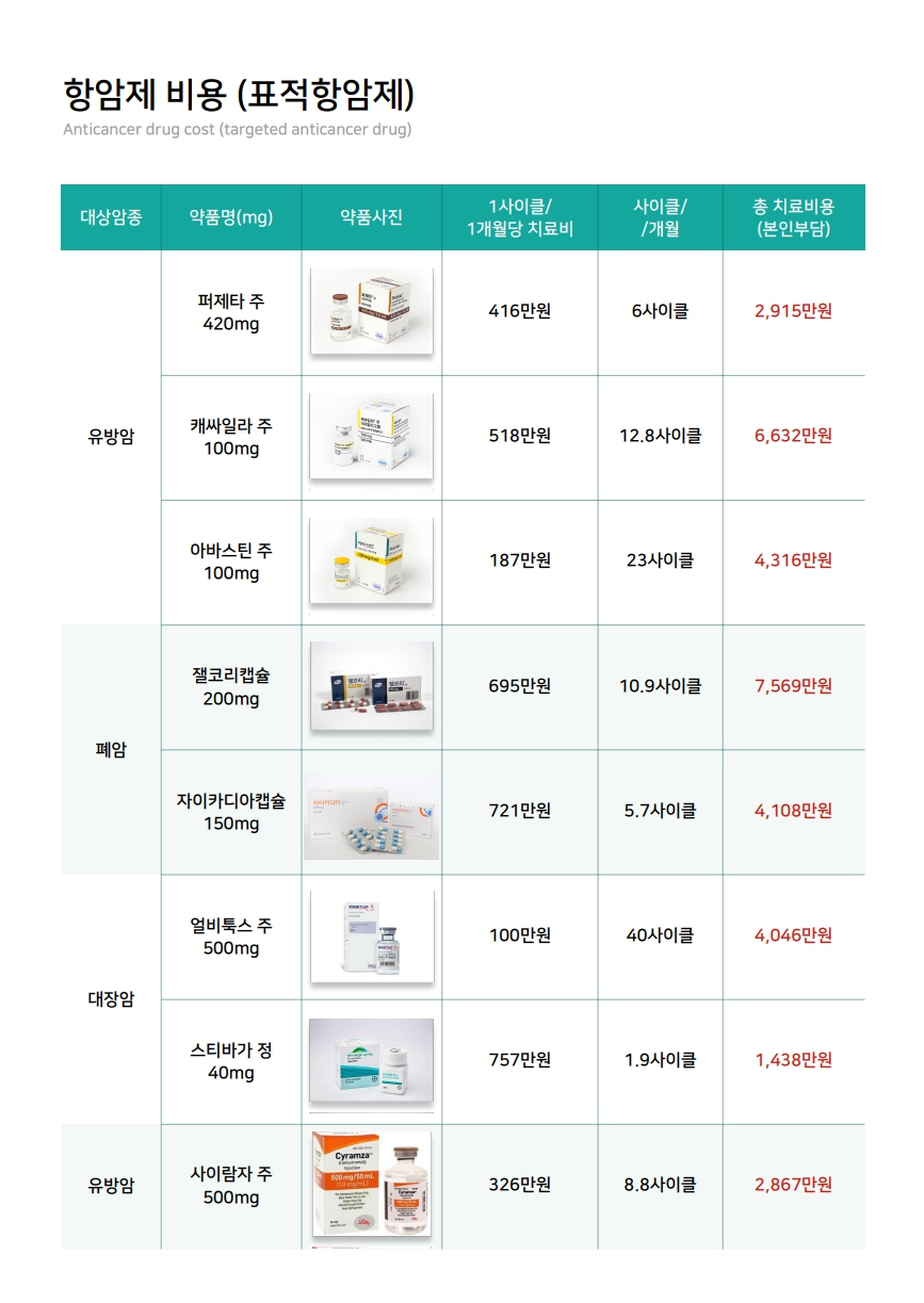 @표적항암.jpg
